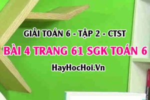 Giải bài 4 trang 61 Toán 6 Tập 2 SGK Chân trời sáng tạo